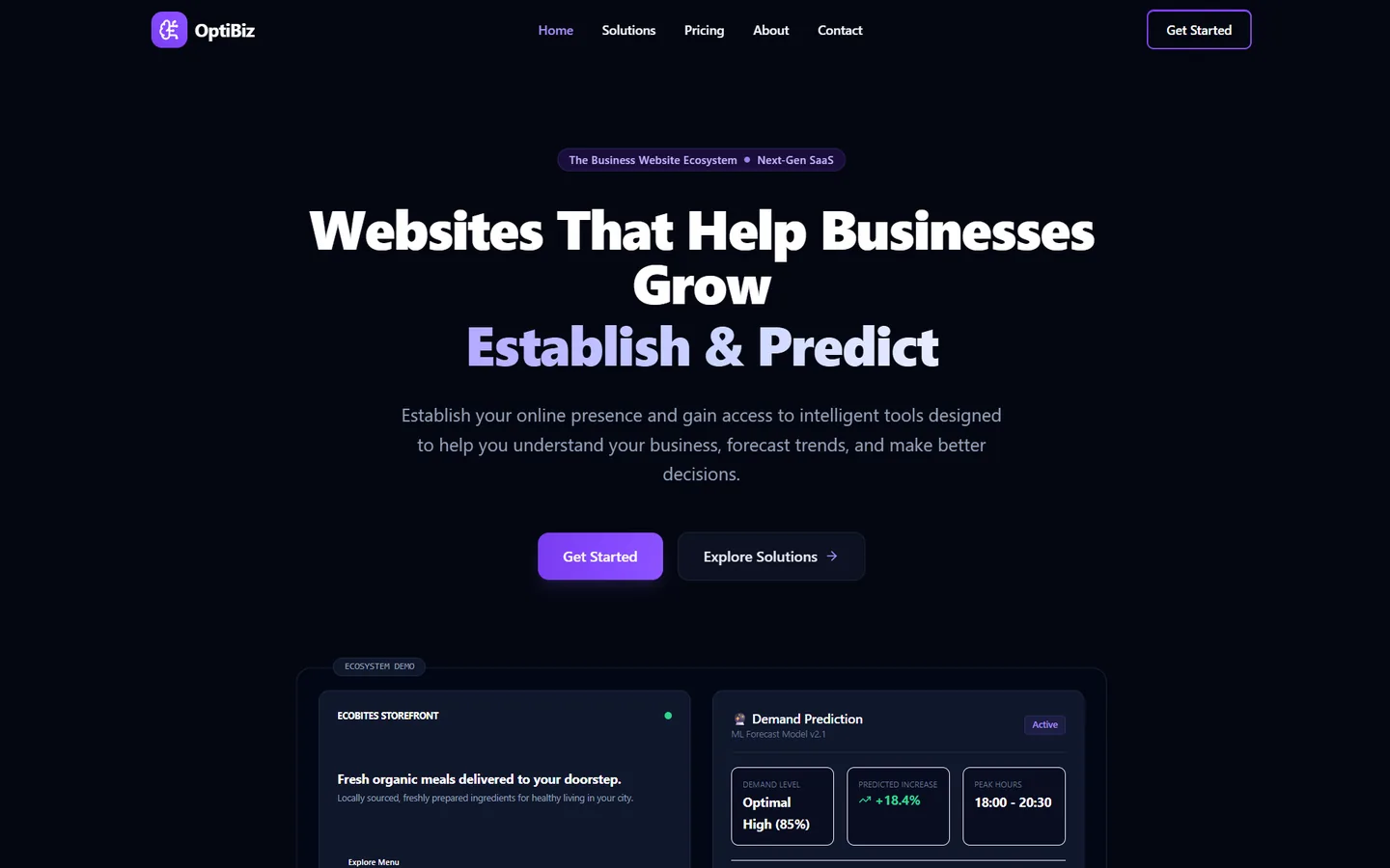 Optibiz website, screenshot of the live site